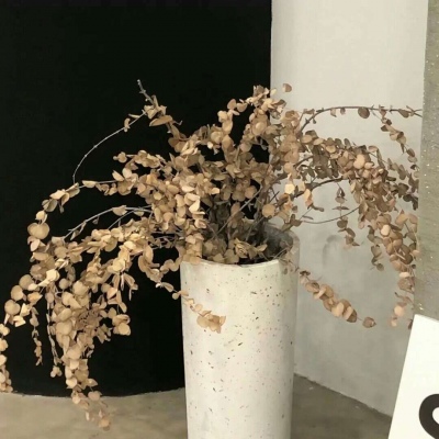 驻马店FurryQQ群介绍